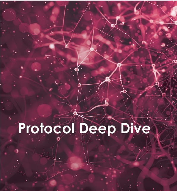 ProtocolDeepDive
